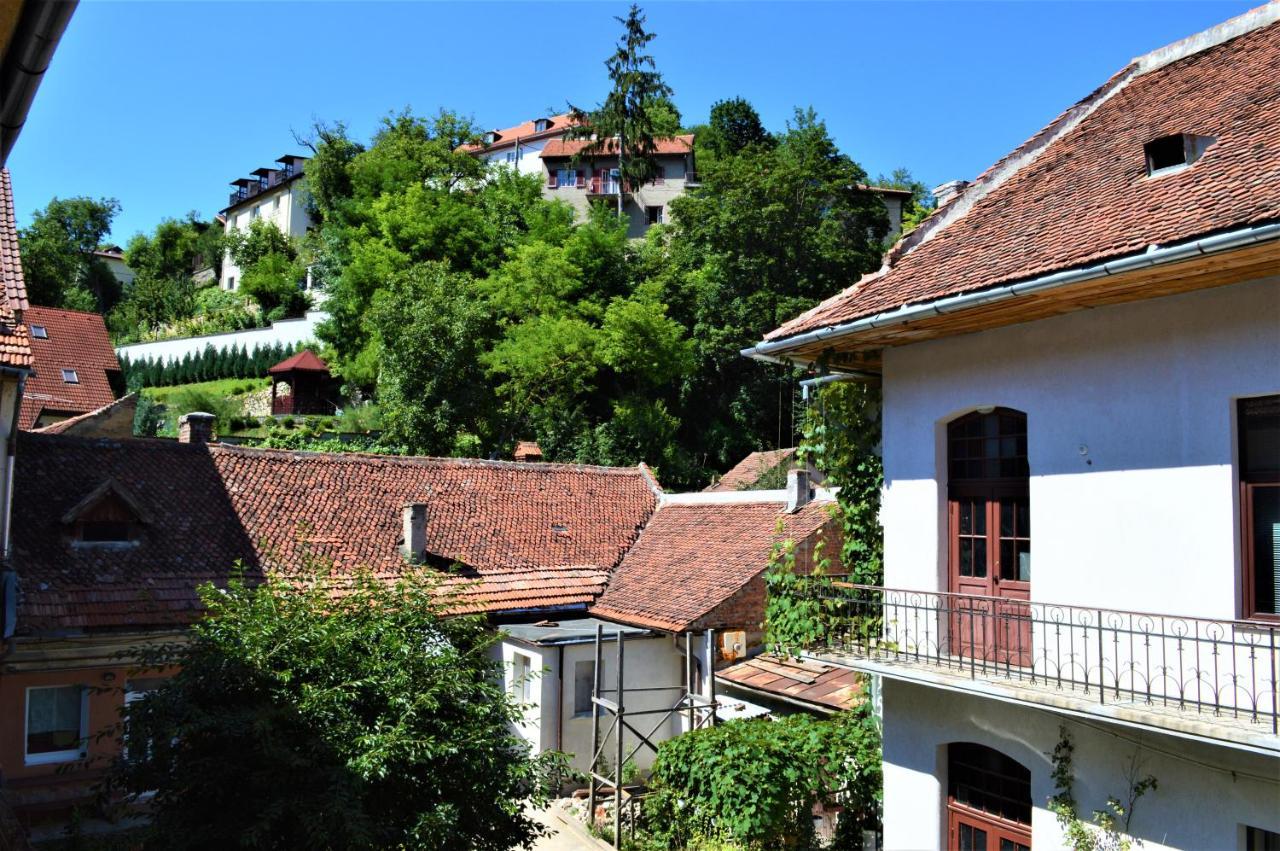 Eco Studio Braşov Dış mekan fotoğraf