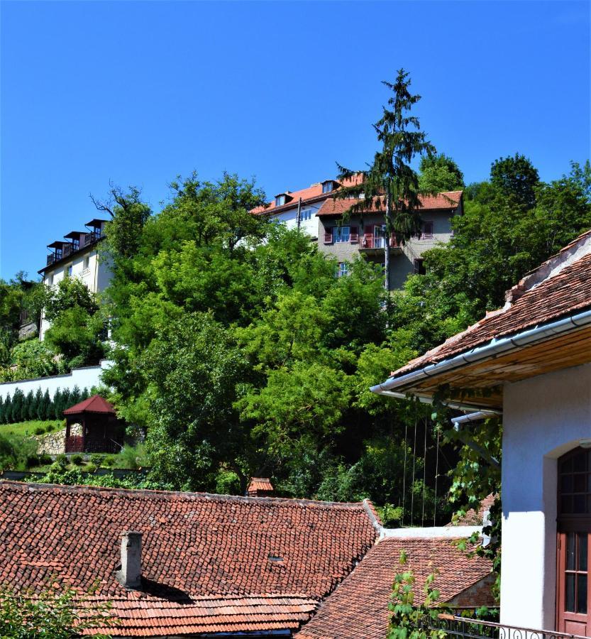 Eco Studio Braşov Dış mekan fotoğraf