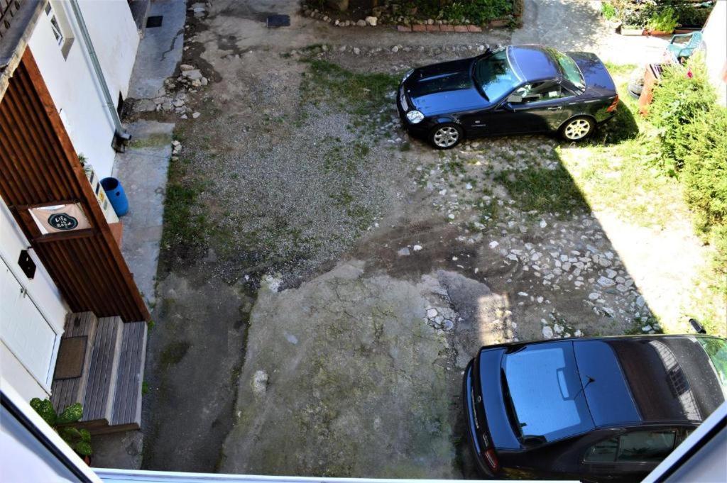 Eco Studio Braşov Dış mekan fotoğraf